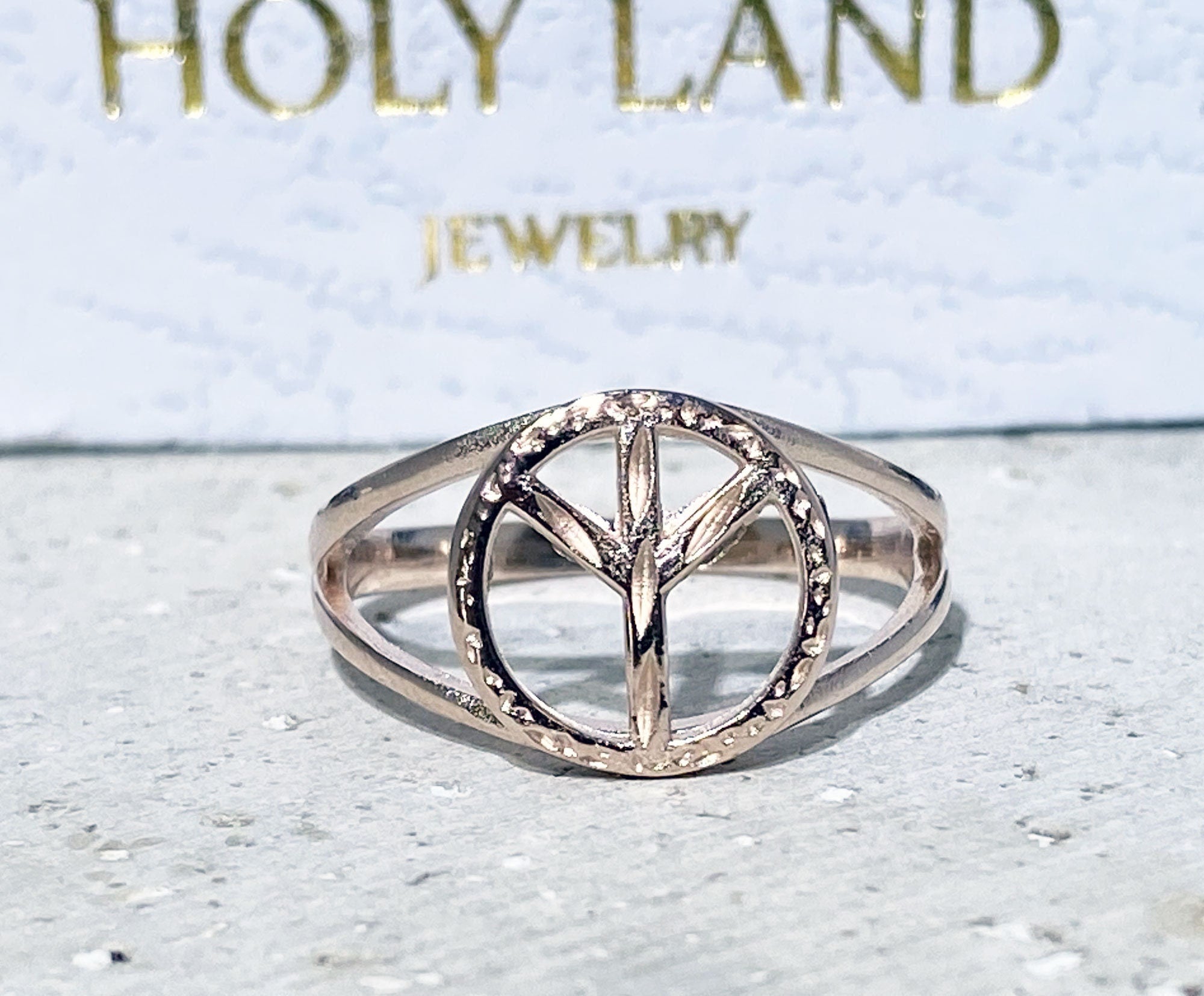 Peace Symbol Simple Double Band Ring - H.L.Jewelry